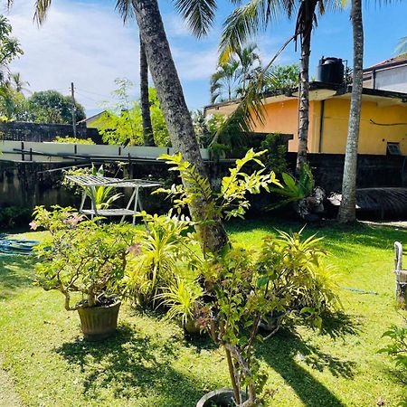 The Beez Hotel Negombo Bagian luar foto