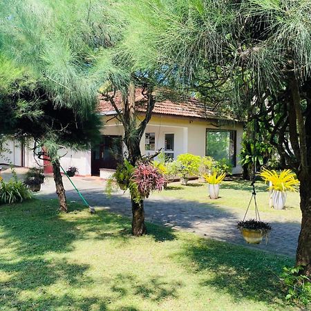 The Beez Hotel Negombo Bagian luar foto