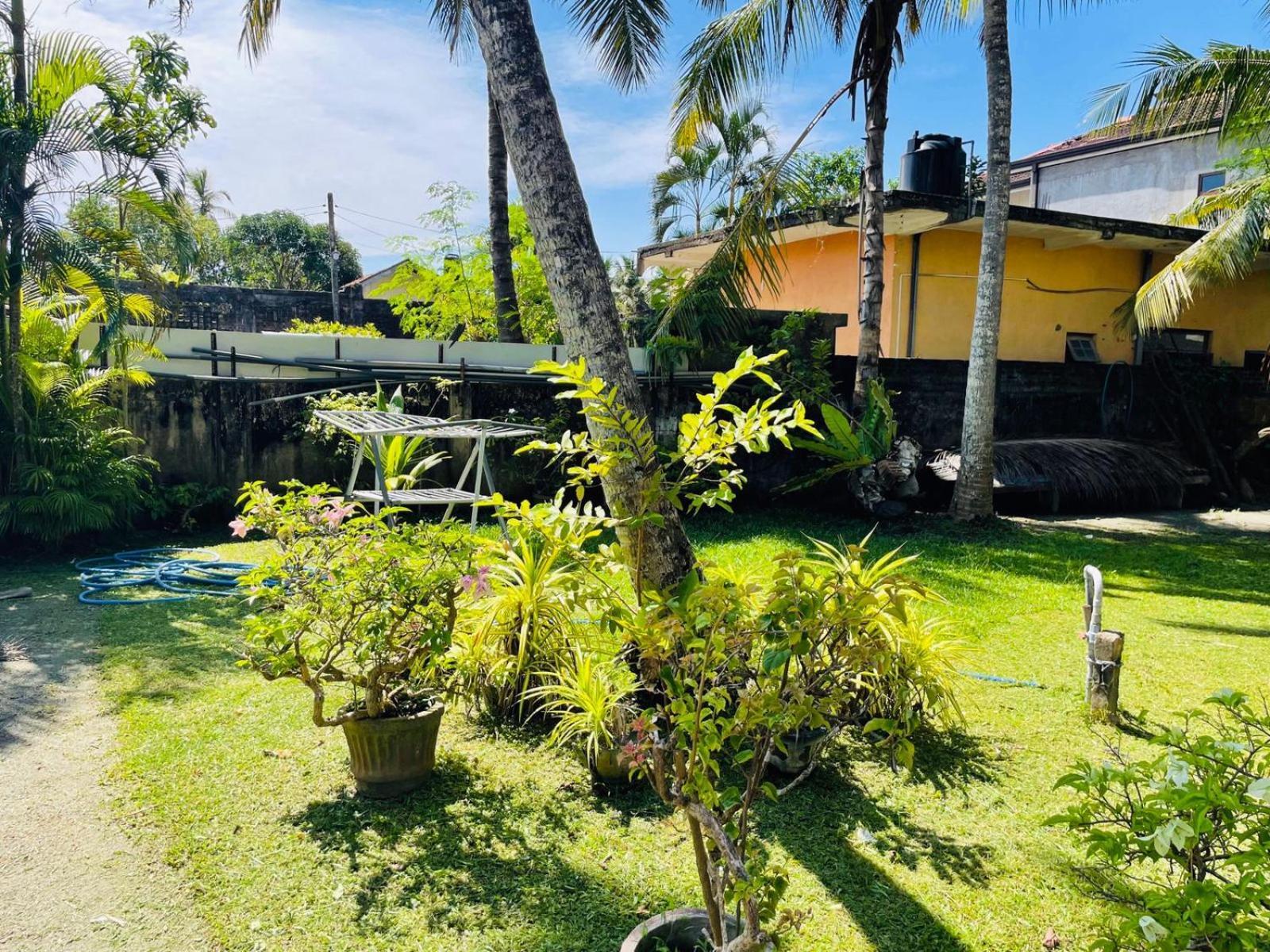 The Beez Hotel Negombo Bagian luar foto